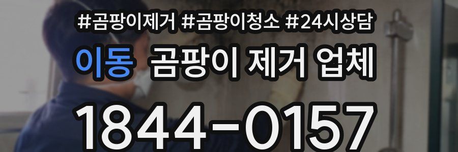 이동 곰팡이 제거 업체