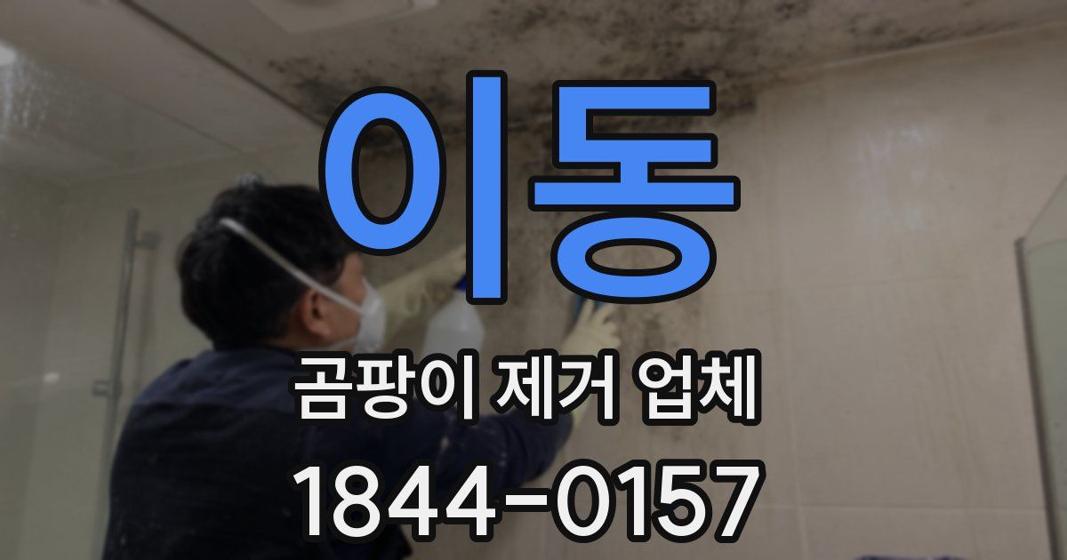 이동 곰팡이 제거 업체