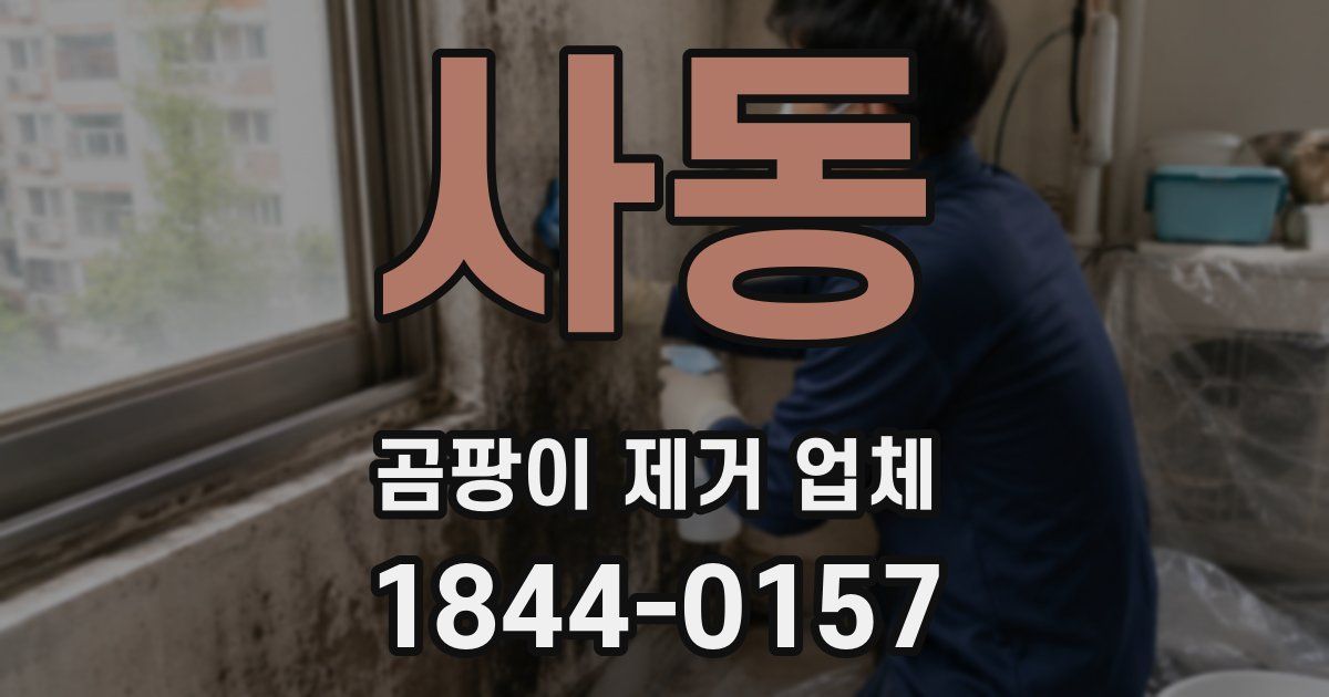 사동 곰팡이 제거 업체