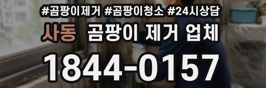 사동 곰팡이 제거 업체