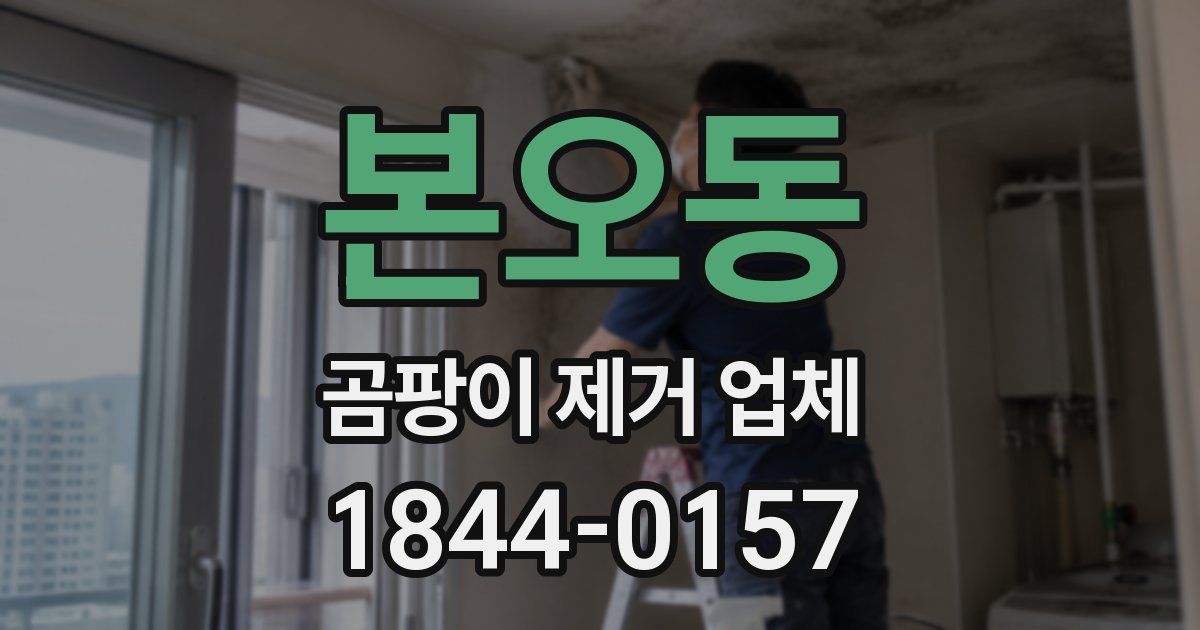 본오동 곰팡이 제거 업체