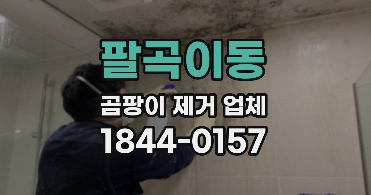 팔곡이동 곰팡이 제거 업체