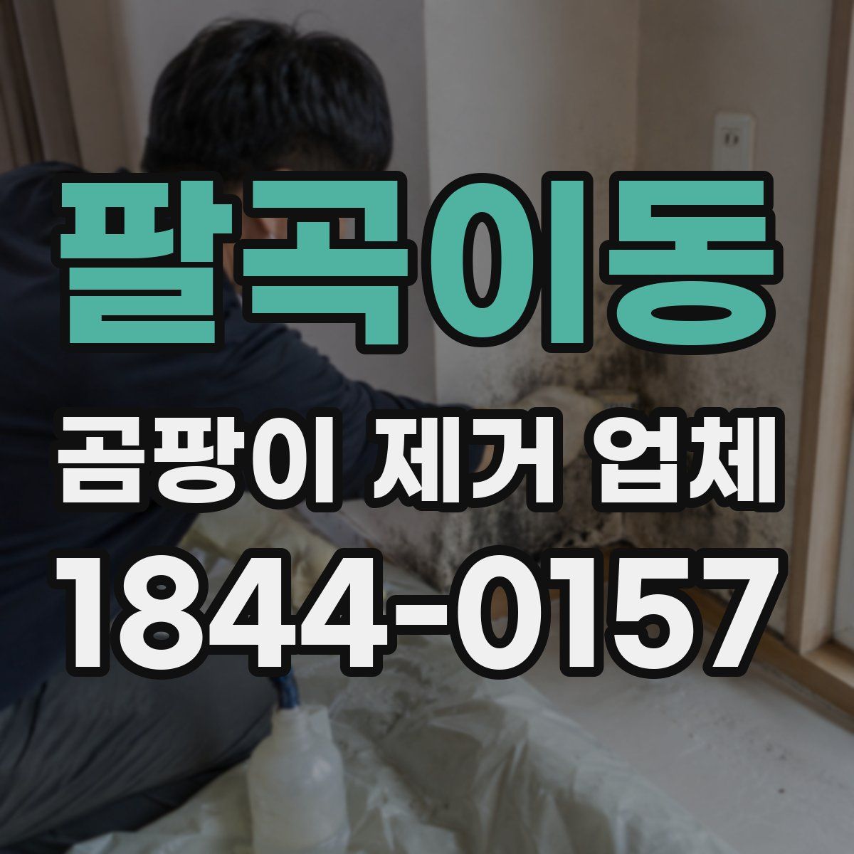 팔곡이동 곰팡이 제거 업체