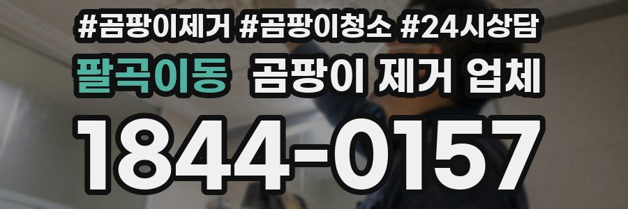 팔곡이동 곰팡이 제거 업체