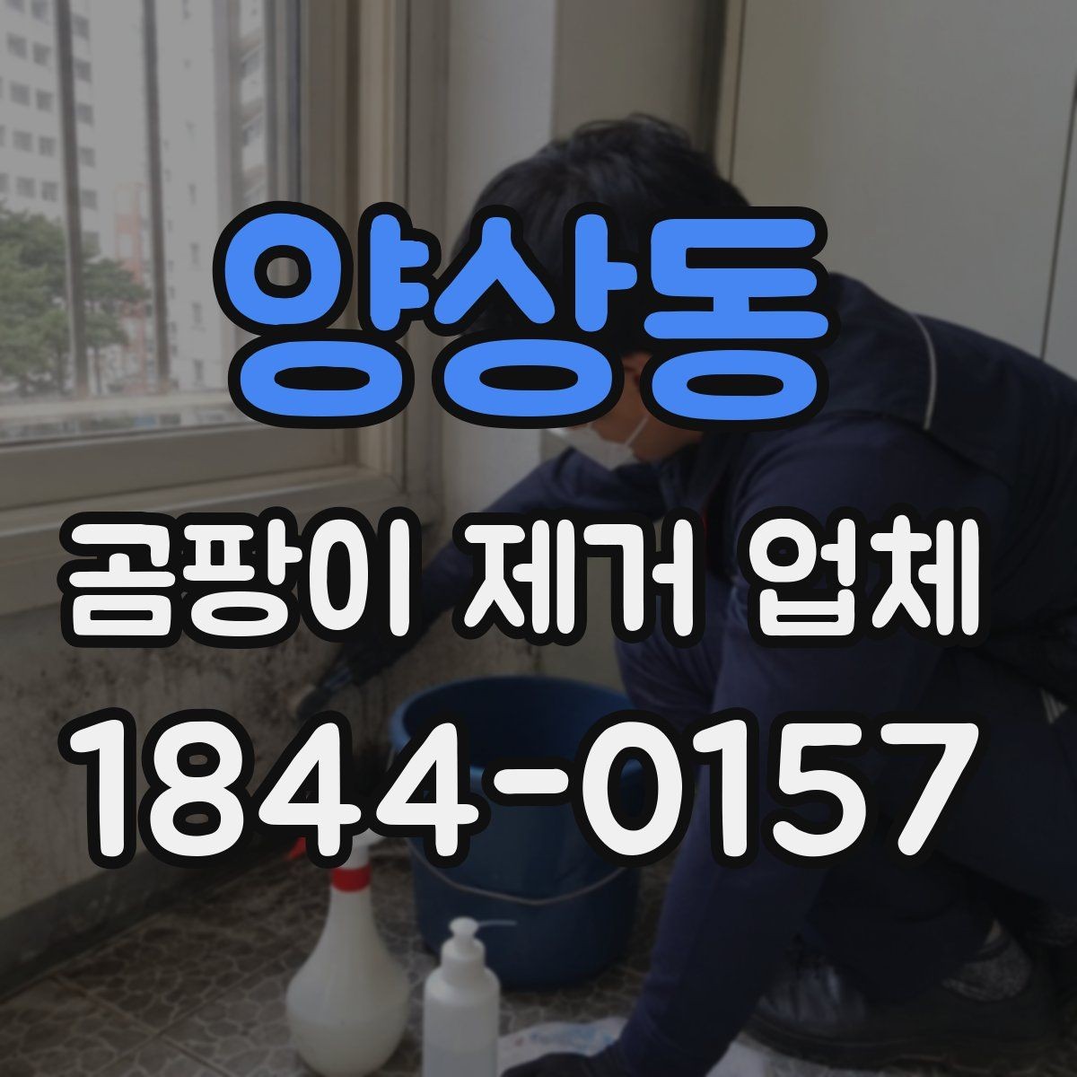 양상동 곰팡이 제거 업체 침투 원인을 찾는 진단 포인트 정리