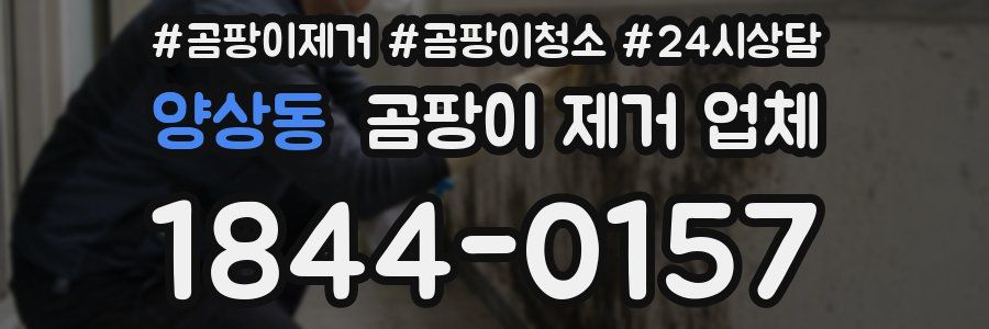 양상동 곰팡이 제거 업체
