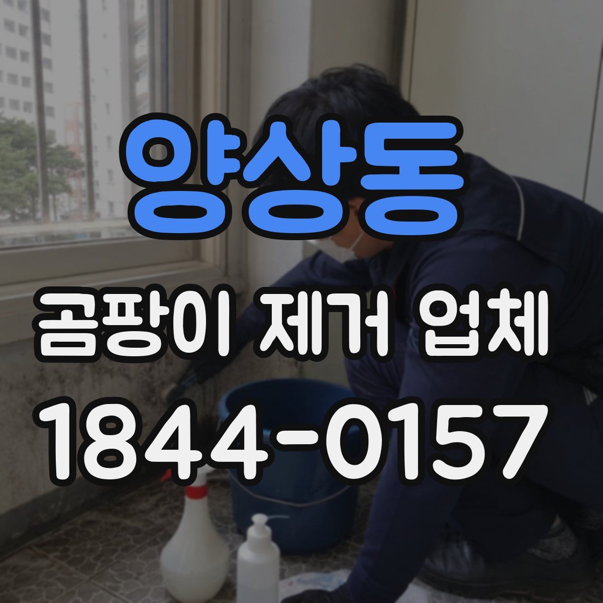 양상동 곰팡이 제거 업체