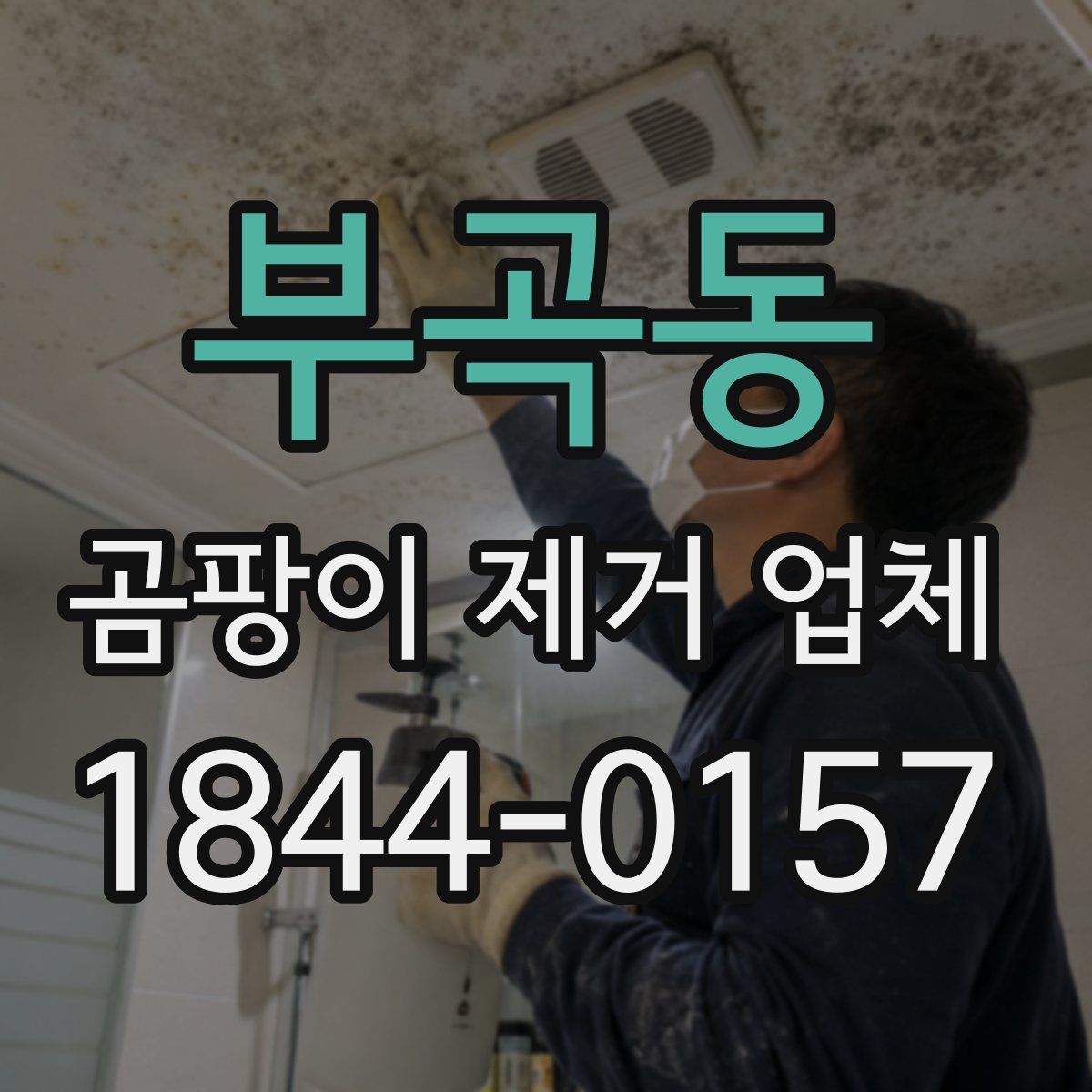 부곡동 곰팡이 제거 업체