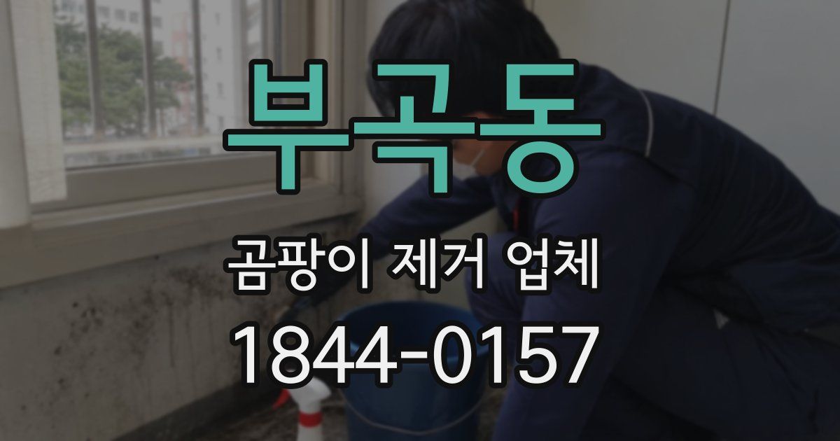 부곡동 곰팡이 제거 업체