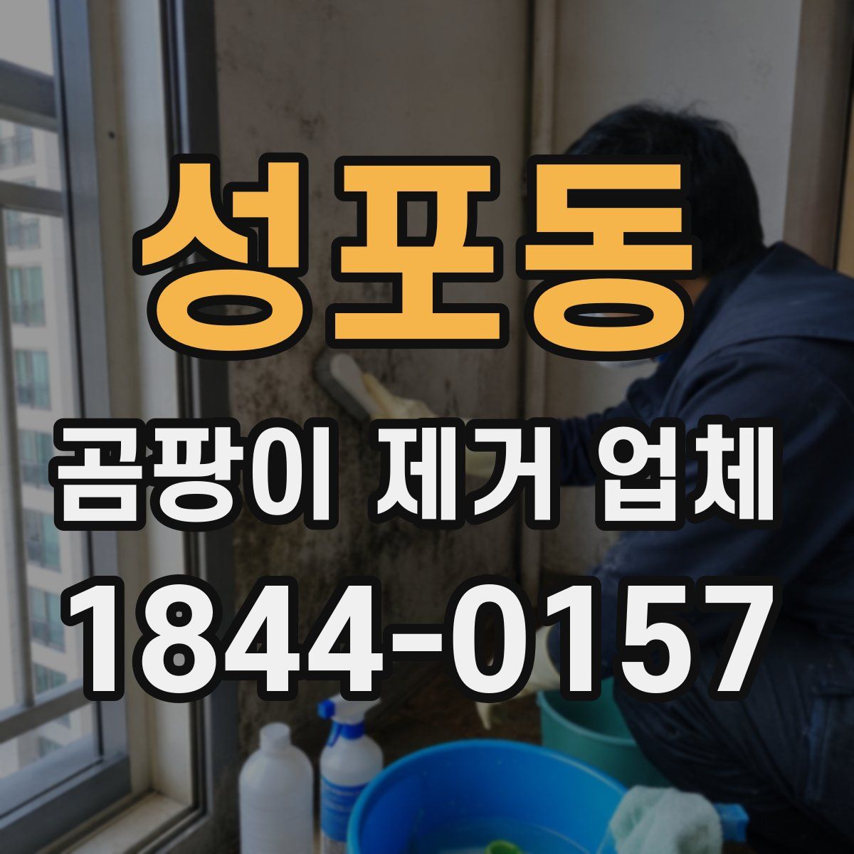 성포동 곰팡이 제거 업체