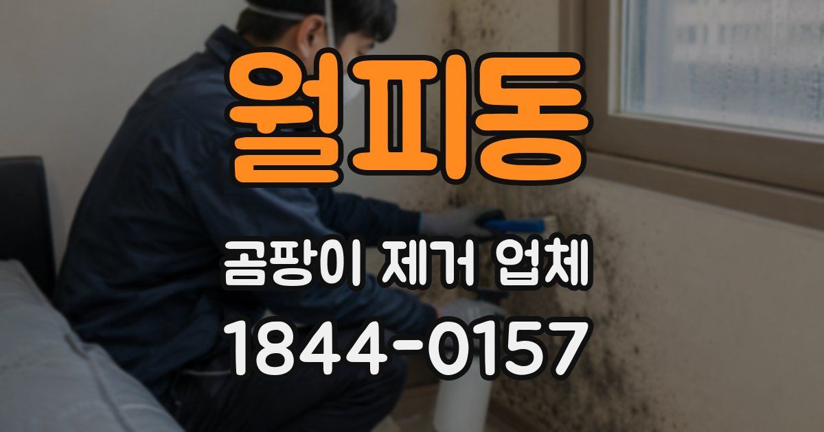 월피동 곰팡이 제거 업체