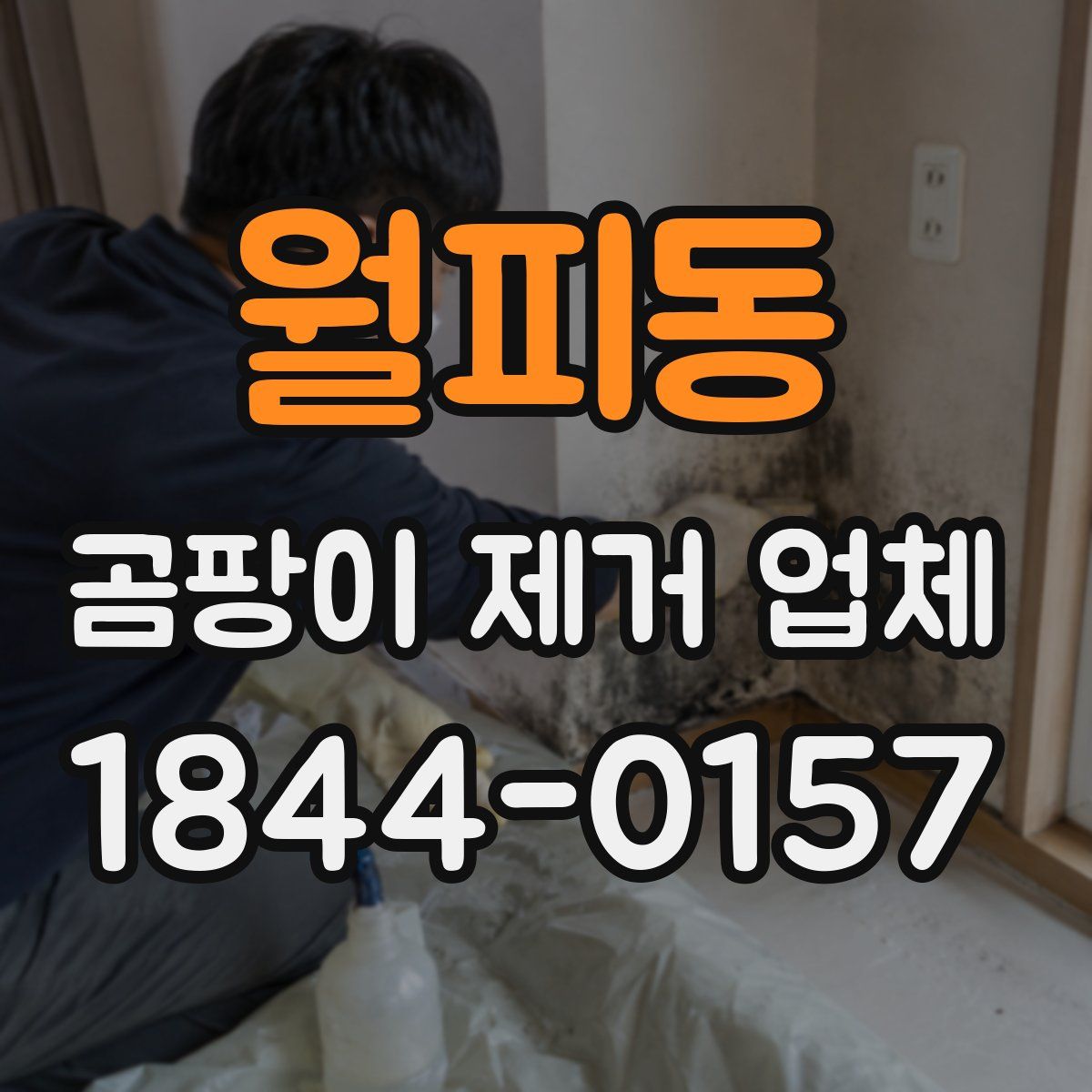 월피동 곰팡이 제거 업체