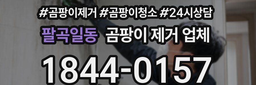 팔곡일동 곰팡이 제거 업체