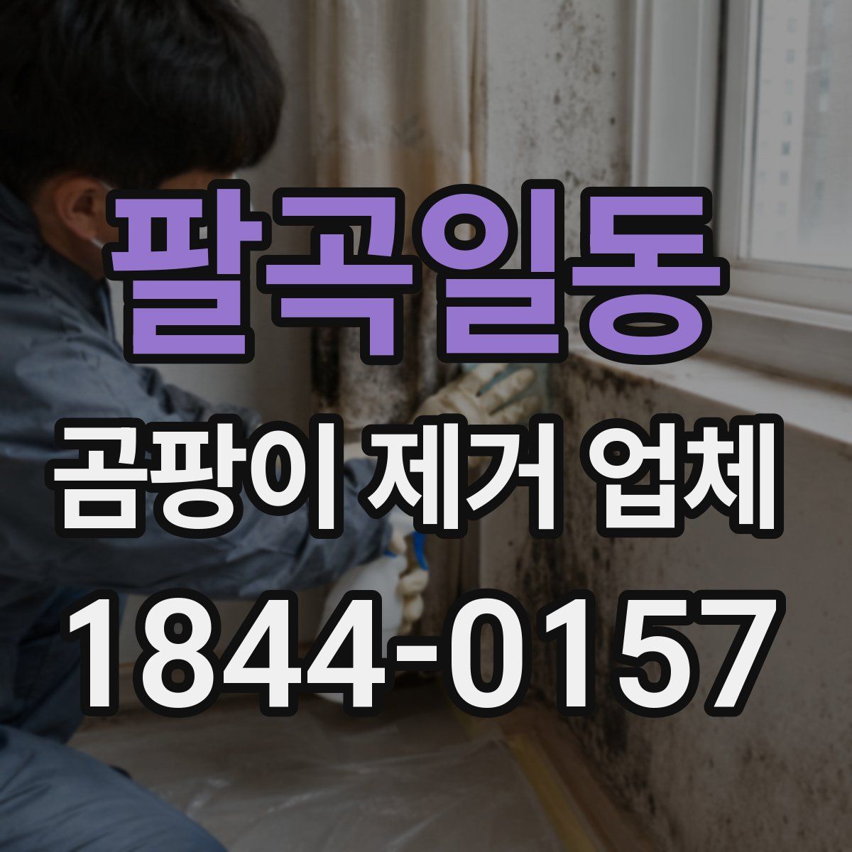 팔곡일동 곰팡이 제거 업체