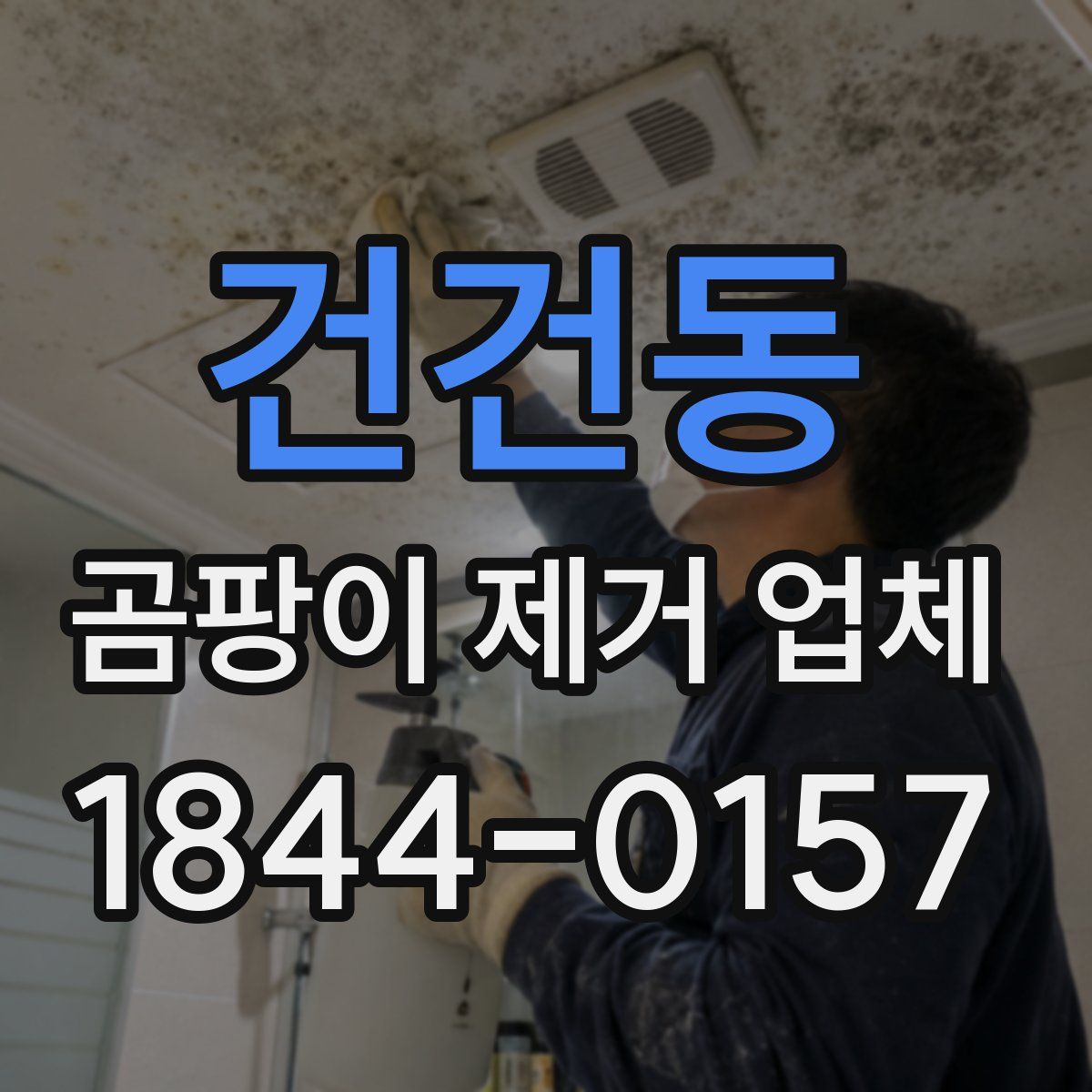 건건동 곰팡이 제거 업체