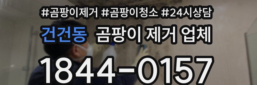 건건동 곰팡이 제거 업체