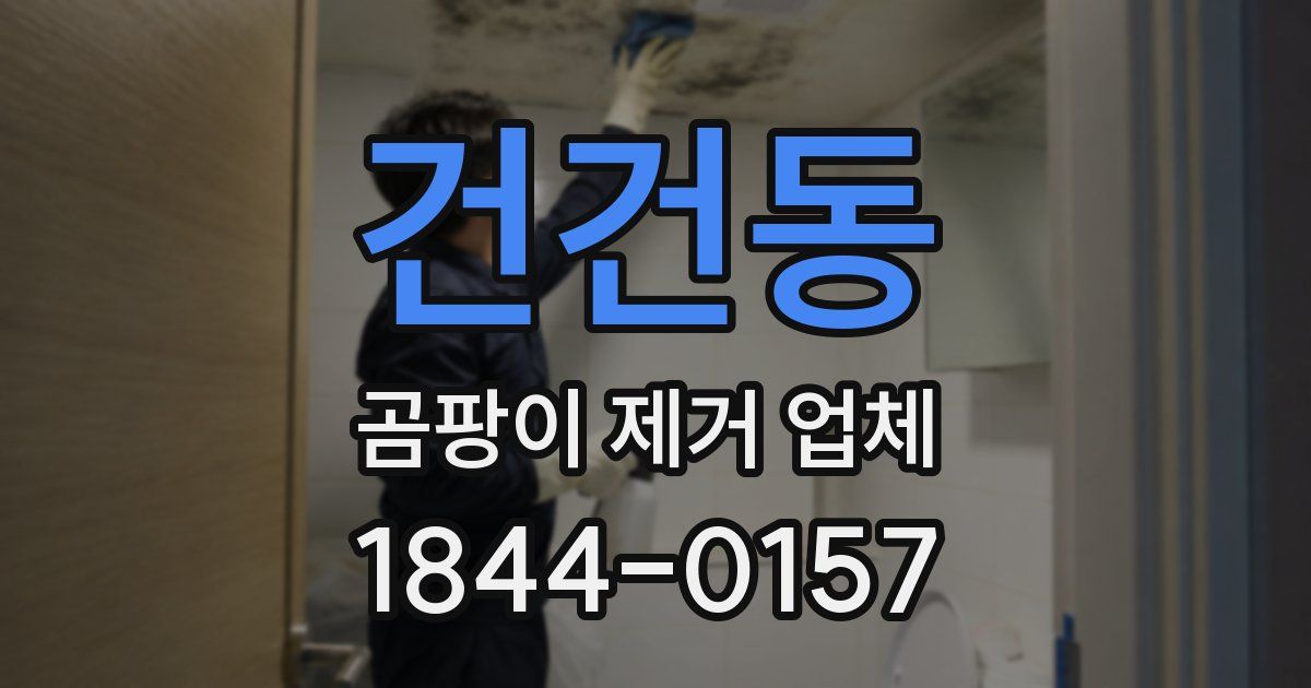 건건동 곰팡이 제거 업체