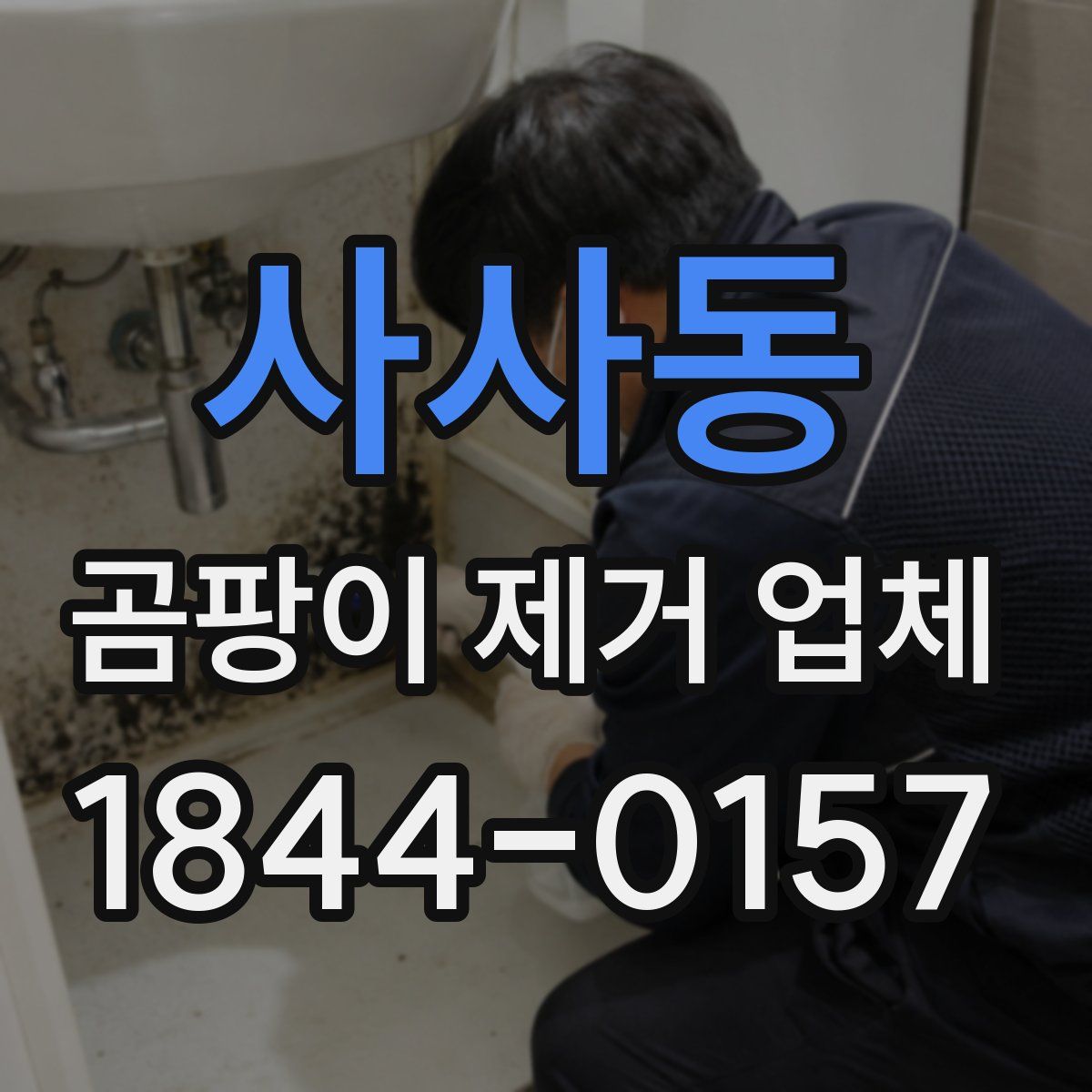 사사동 곰팡이 제거 업체