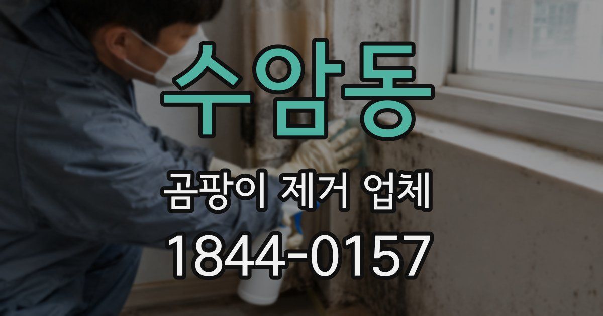 수암동 곰팡이 제거 업체