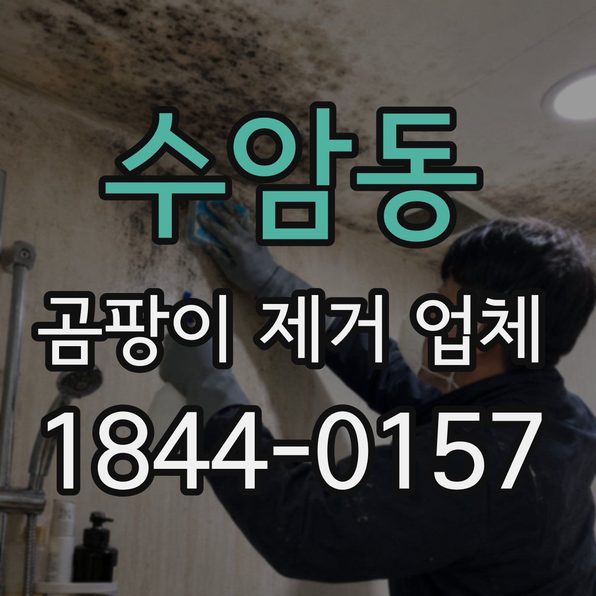 수암동 곰팡이 제거 업체