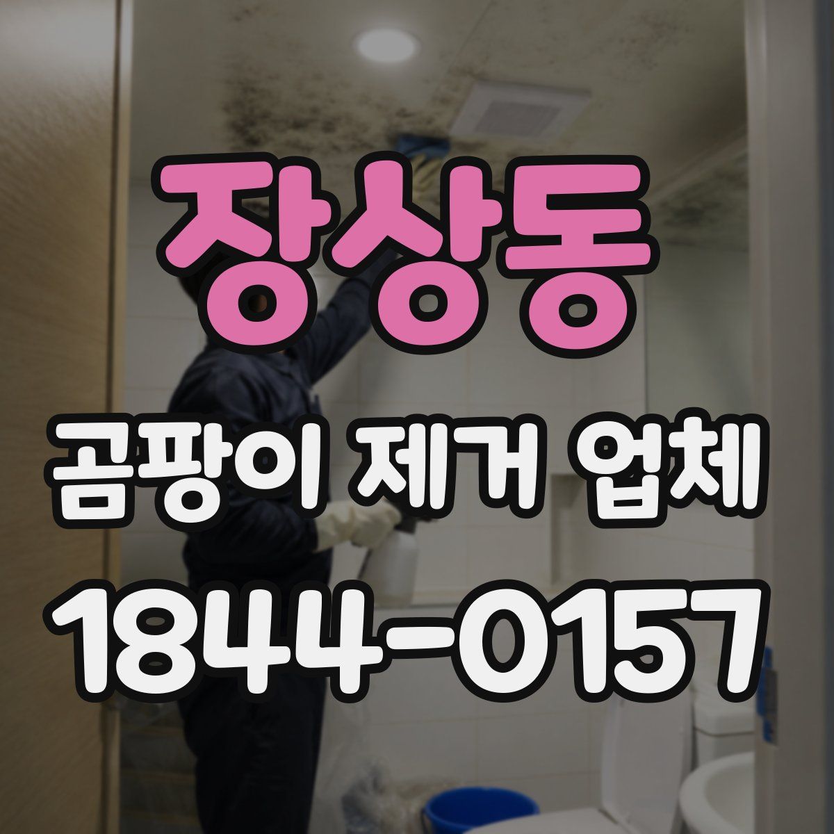 장상동 곰팡이 제거 업체