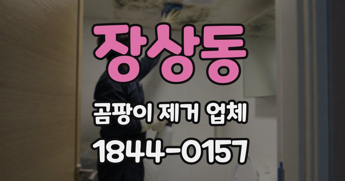 장상동 곰팡이 제거 업체