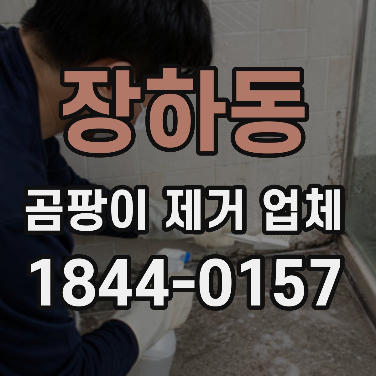 장하동 곰팡이 제거 업체