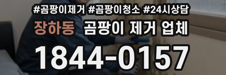 장하동 곰팡이 제거 업체