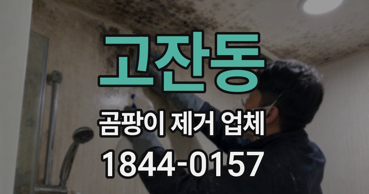 고잔동 곰팡이 제거 업체