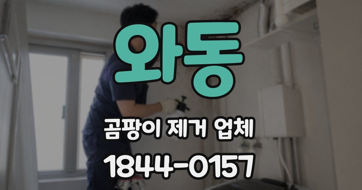 와동 곰팡이 제거 업체
