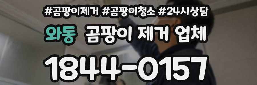 와동 곰팡이 제거 업체