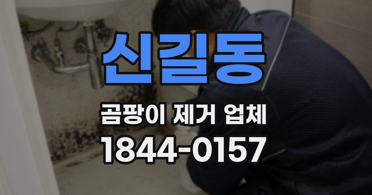 신길동 곰팡이 제거 업체