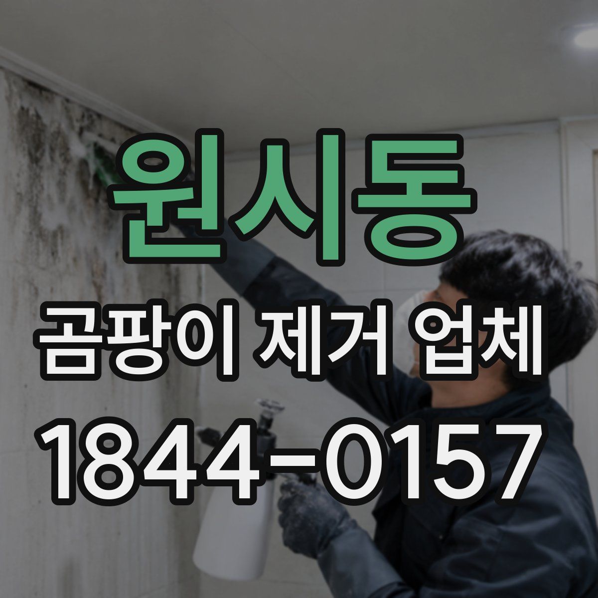 원시동 곰팡이 제거 업체