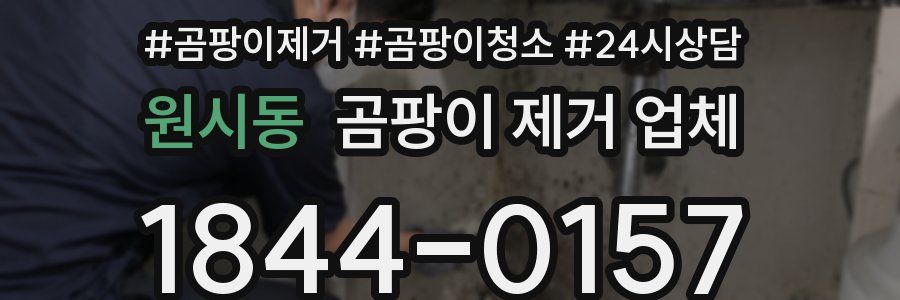 원시동 곰팡이 제거 업체