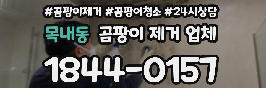 목내동 곰팡이 제거 업체