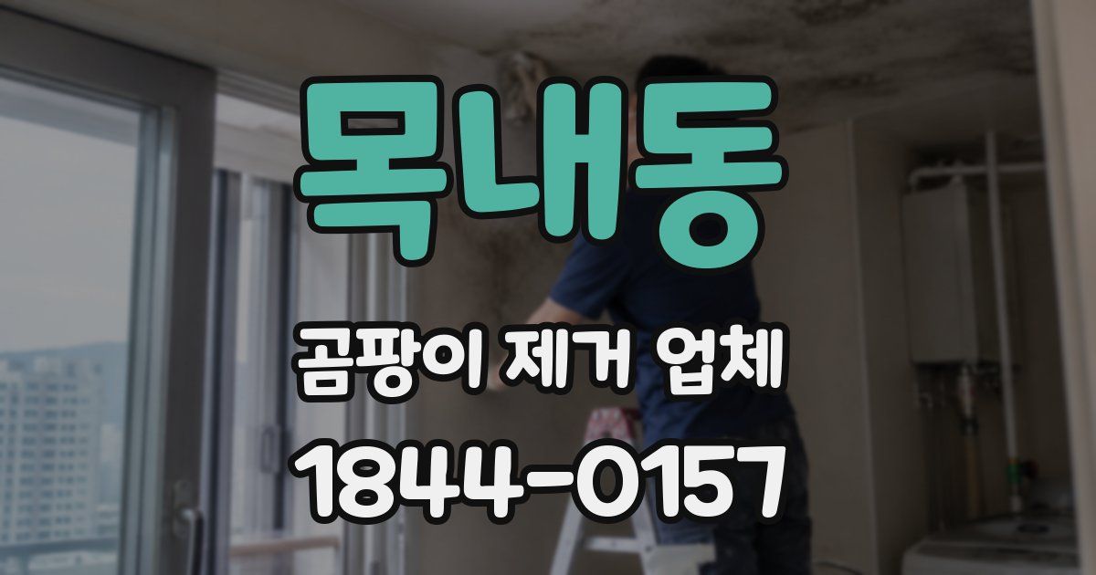 목내동 곰팡이 제거 업체