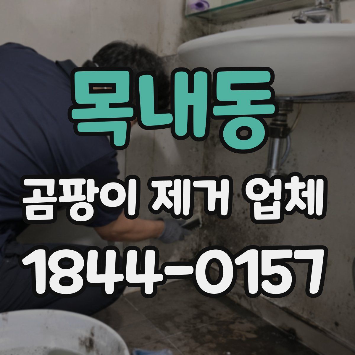 목내동 곰팡이 제거 업체