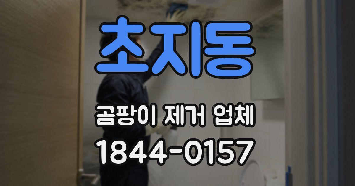 초지동 곰팡이 제거 업체