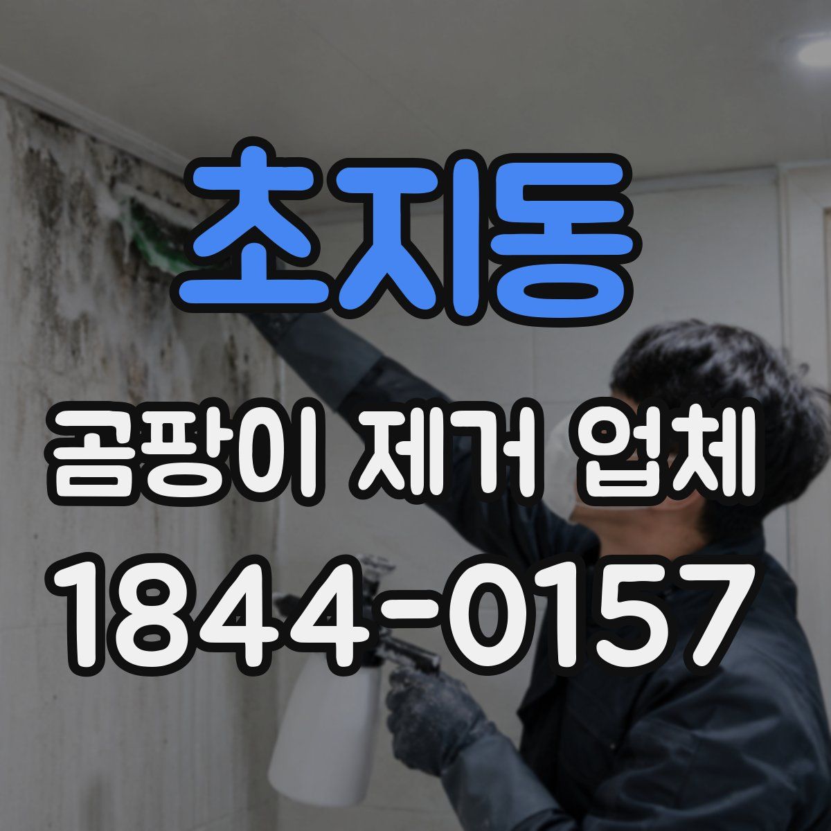 초지동 곰팡이 제거 업체