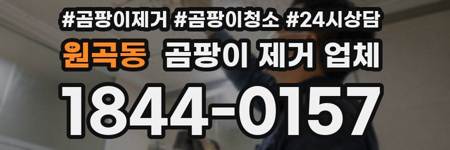 원곡동 곰팡이 제거 업체