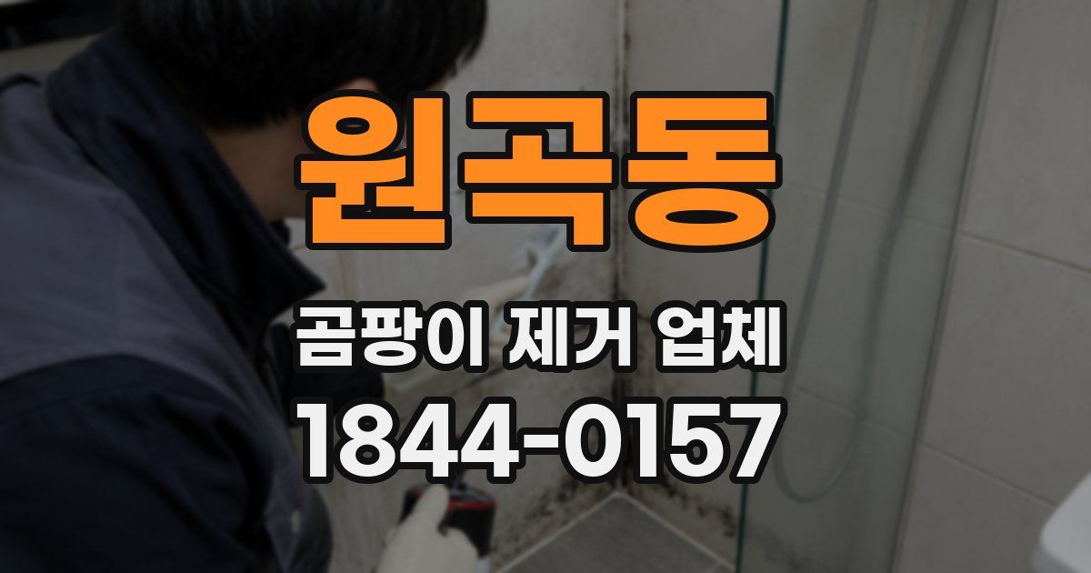 원곡동 곰팡이 제거 업체
