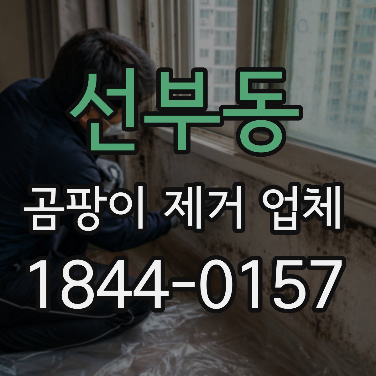 선부동 곰팡이 제거 업체