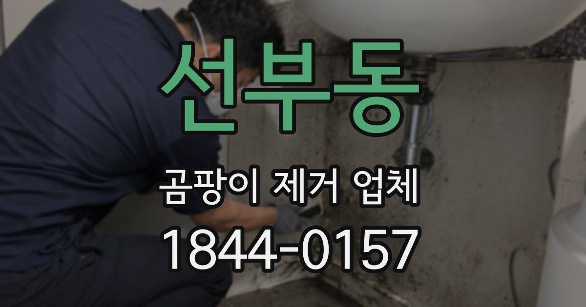 선부동 곰팡이 제거 업체