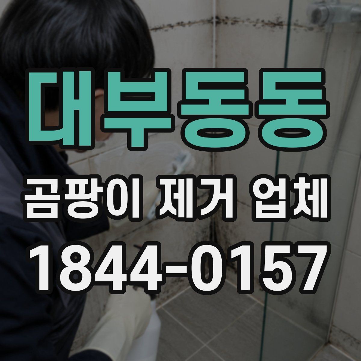대부동동 곰팡이 제거 업체 제거 범위 산정 시 먼저 보는 점검 포인트