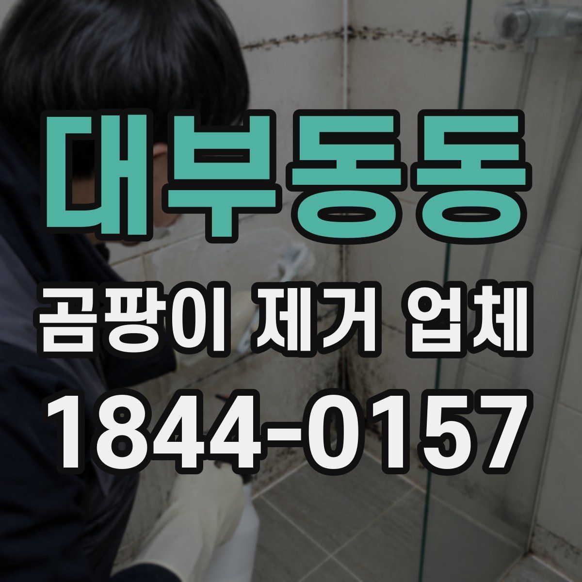 대부동동 곰팡이 제거 업체