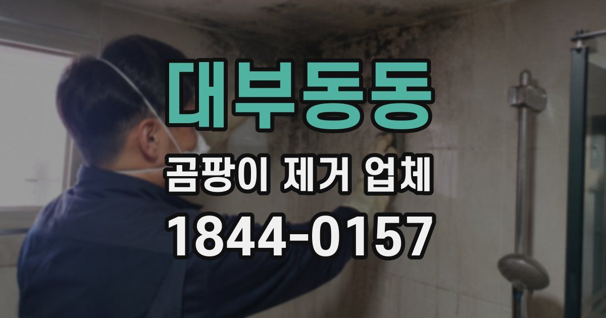 대부동동 곰팡이 제거 업체