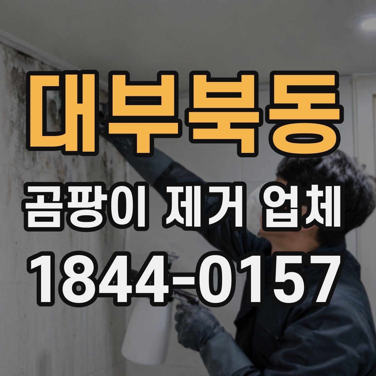 대부북동 곰팡이 제거 업체 마감재 손상 정도에 따른 작업 범위 안내