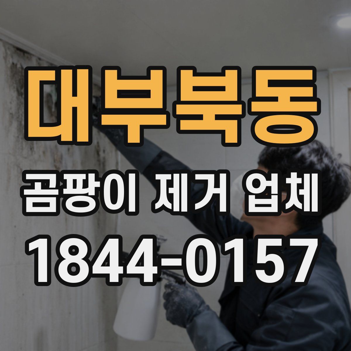 대부북동 곰팡이 제거 업체