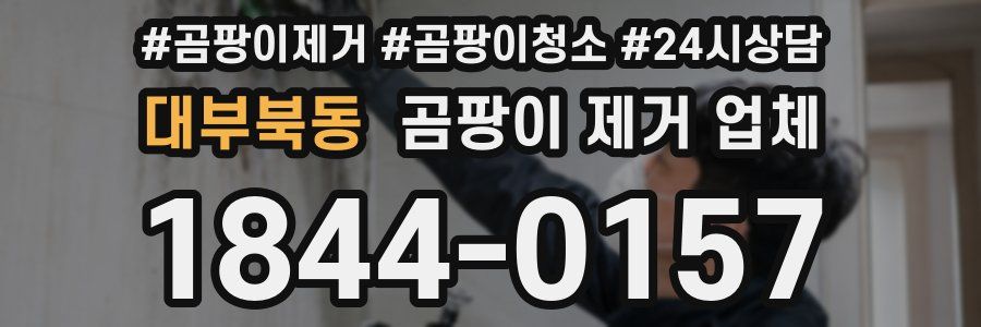 대부북동 곰팡이 제거 업체