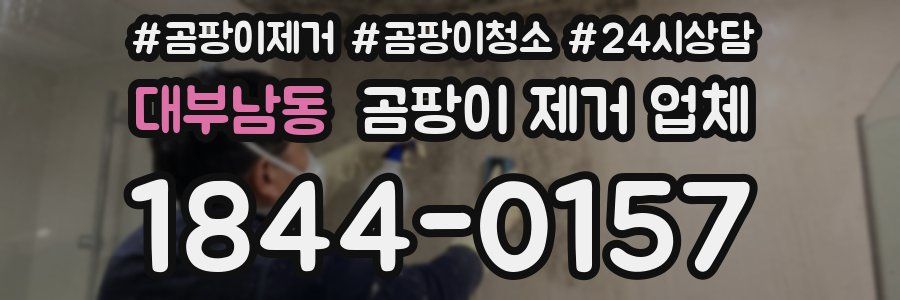 대부남동 곰팡이 제거 업체
